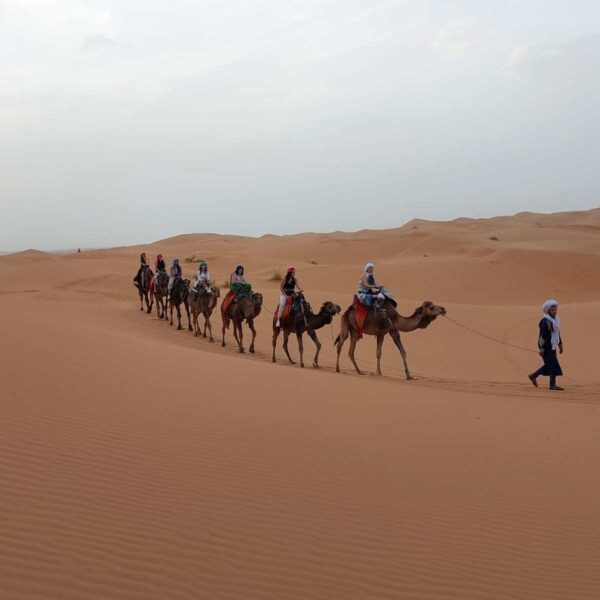 7 day Morocco tour from Fes